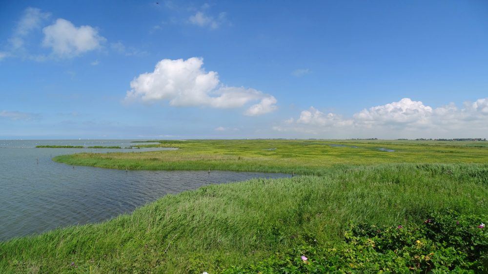 Warkummerwaard